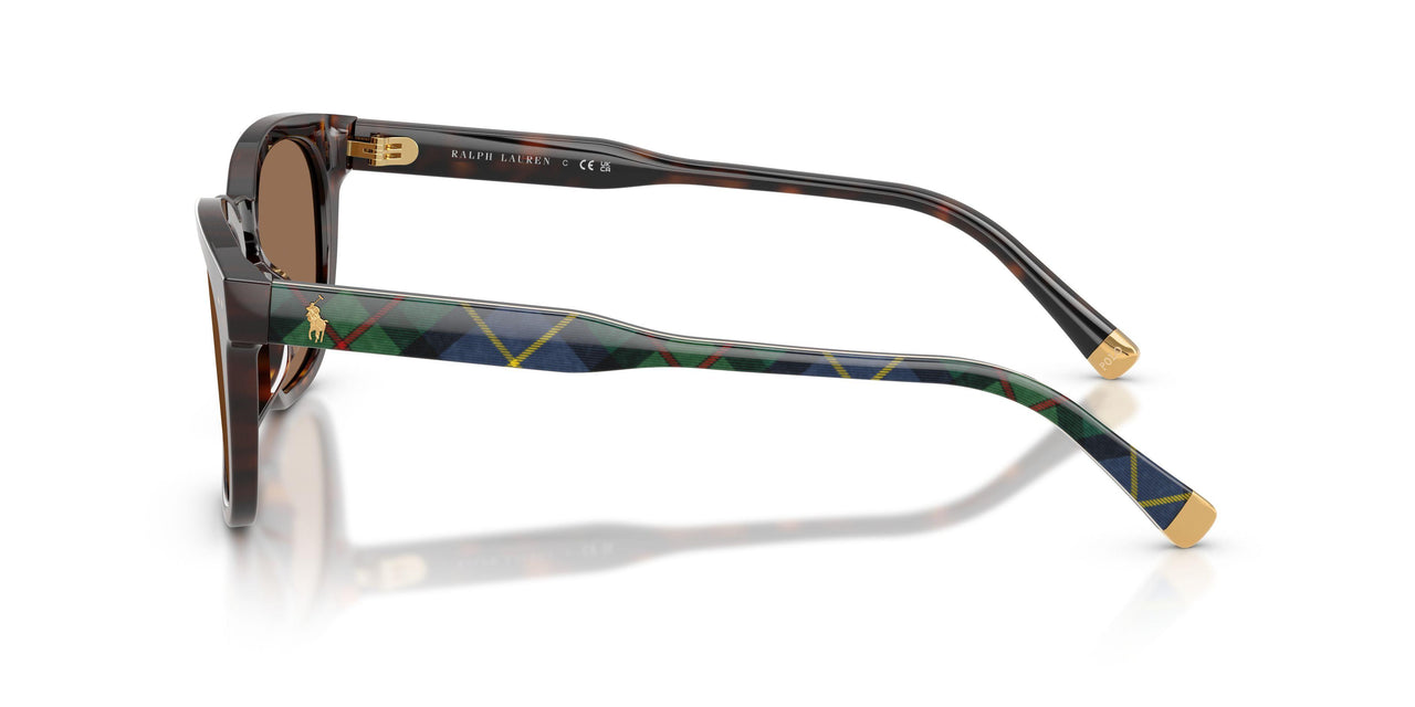 562573 - Tortoise - Dark Brown