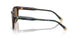 562573 - Tortoise - Dark Brown