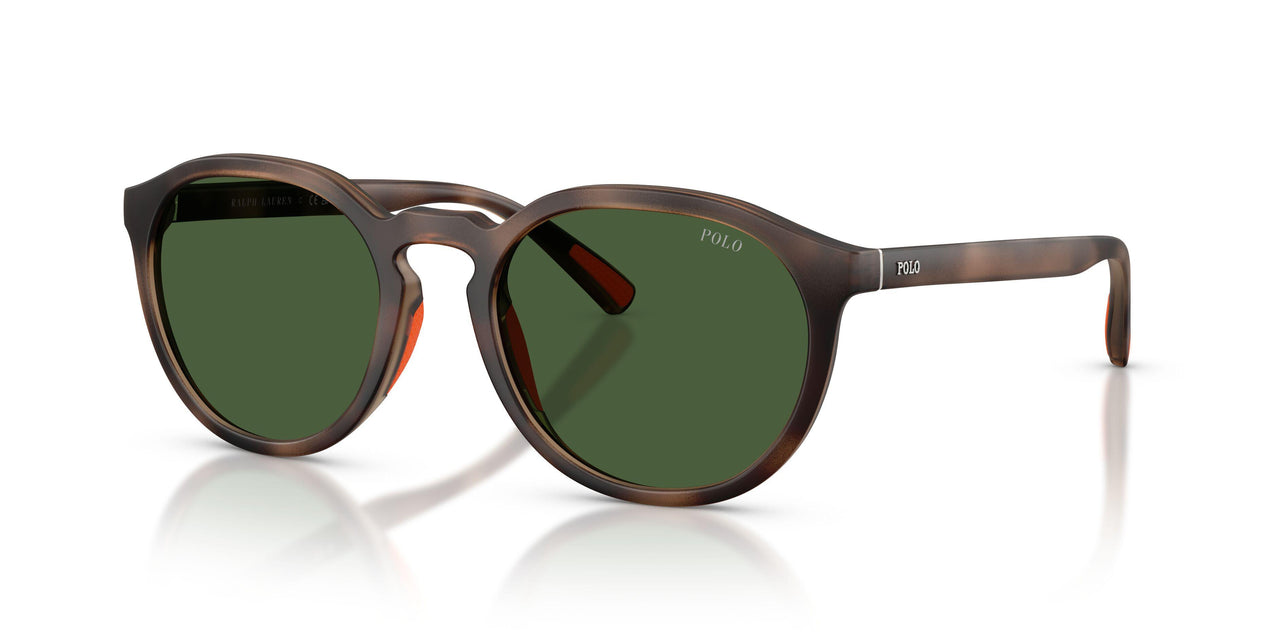 597471 - Tortoise - Bottle Green