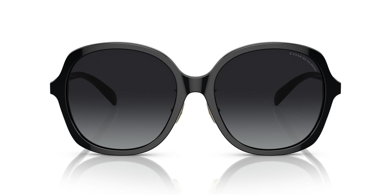 5002T3 - Black - Grey Gradient Polar