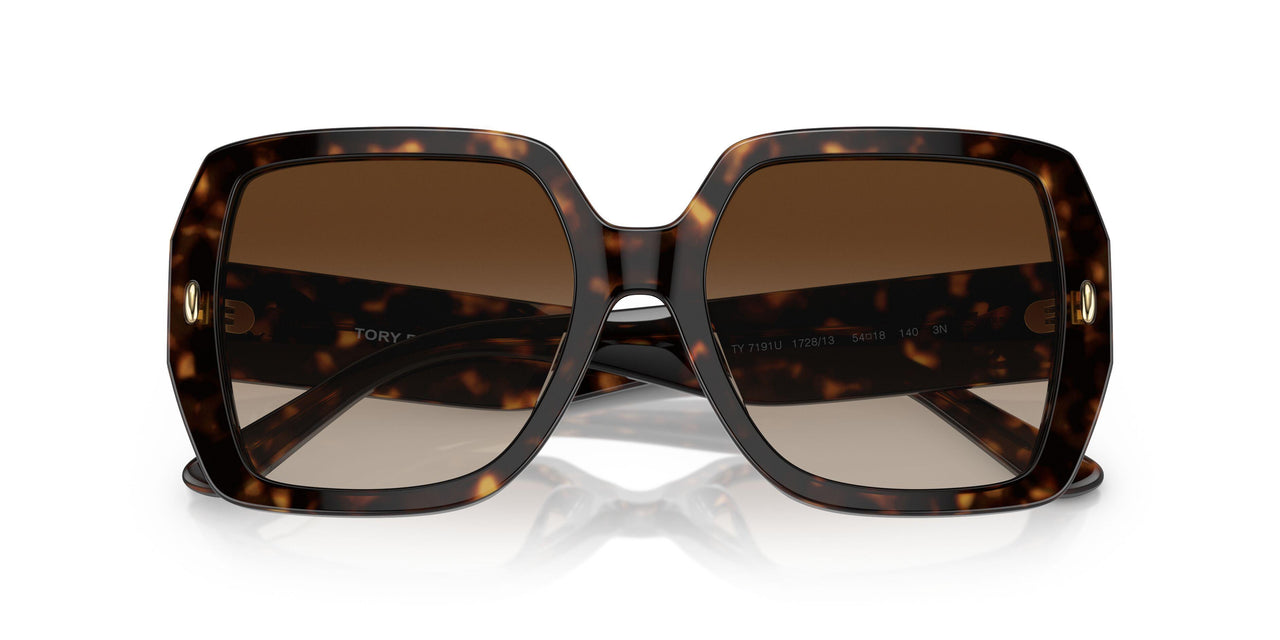 172813 - Tortoise - Brown Gradient