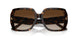 172813 - Tortoise - Brown Gradient