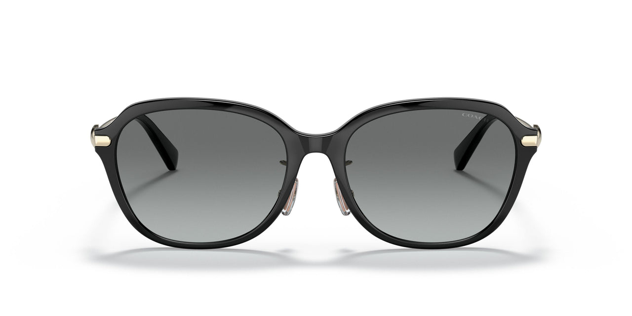 500211 - Black - Grey Gradient