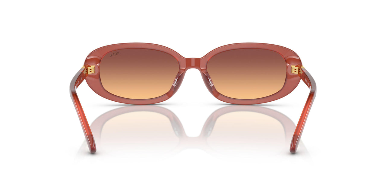 619478 - Brown - Orange Gradient Violet