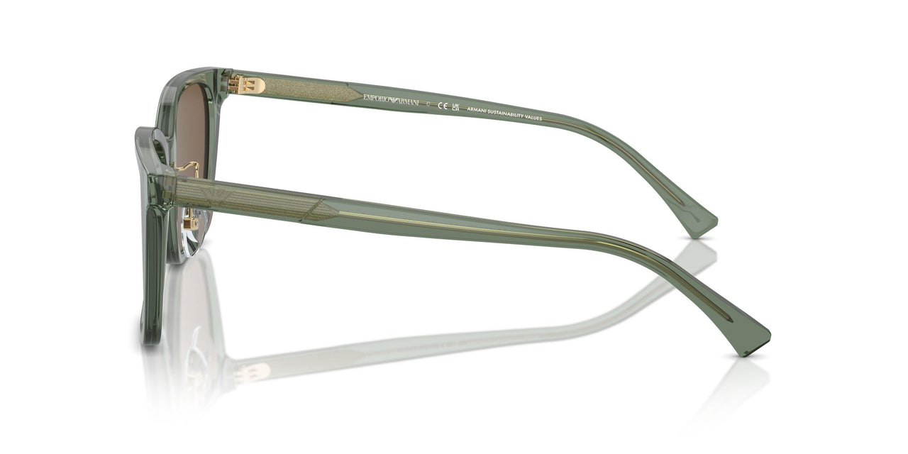 536273 - Green - Dark Brown