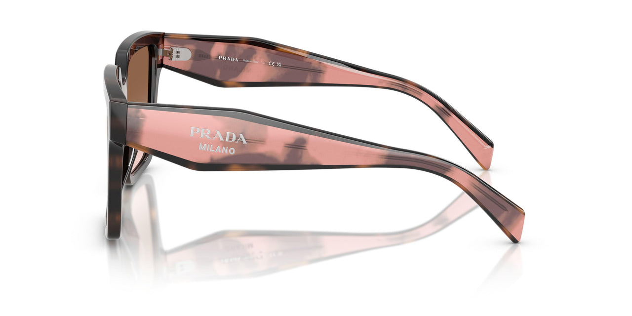 23A0A6 - Tortoise - Brown Gradient