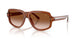 630613 - Brown - Gradient Brown