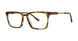 GVX GVX592 Eyeglasses