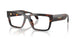 5509 - Tortoise