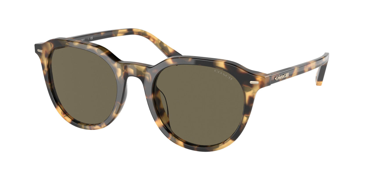 51713 - Havana - Dark Brown Solid