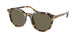 51713 - Havana - Dark Brown Solid