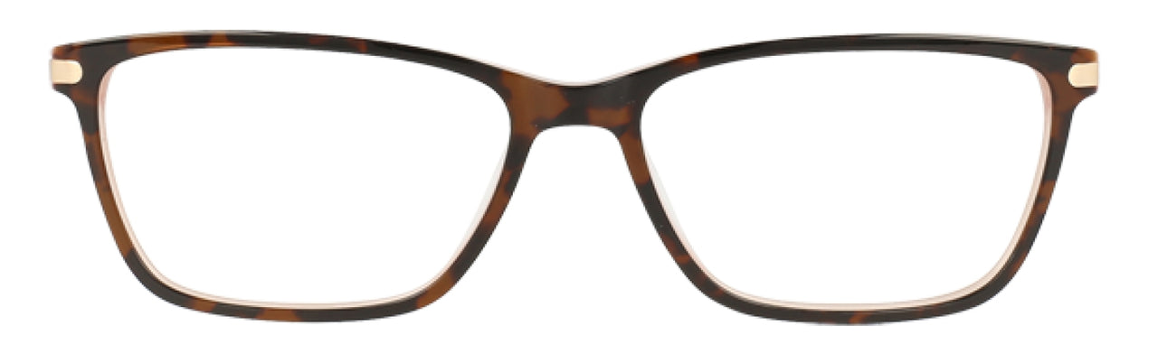 550 - Tortoise