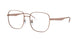 Ray-Ban 6503D Eyeglasses