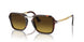 24/85 - Tortoise - Gradient Brown