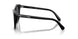 1001T3 - Black - Gradient Grey Polar