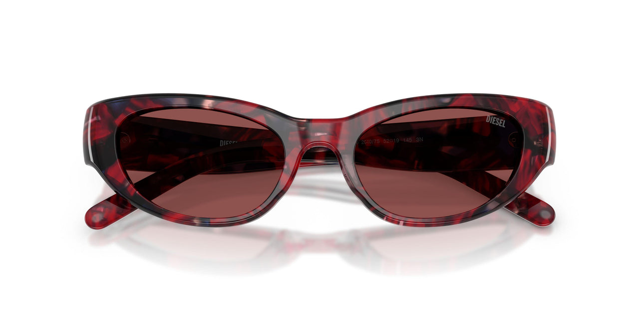 204075 - Tortoise - Dark Violet