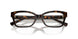 8015 - Tortoise