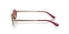 513869 - Brown - Dark Violet