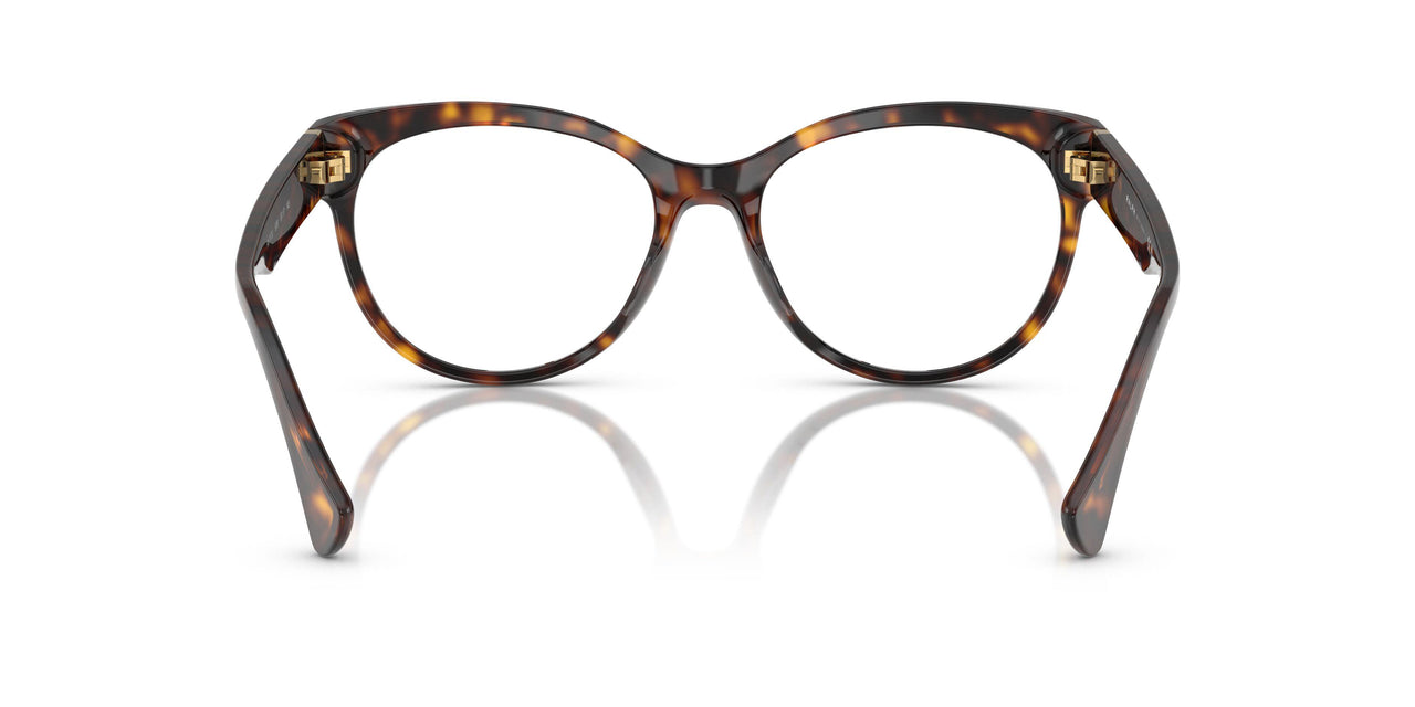 5003 - Tortoise