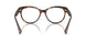 5003 - Tortoise