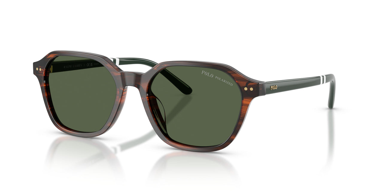63159A - Tortoise - Polar Green