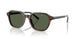 63159A - Tortoise - Polar Green