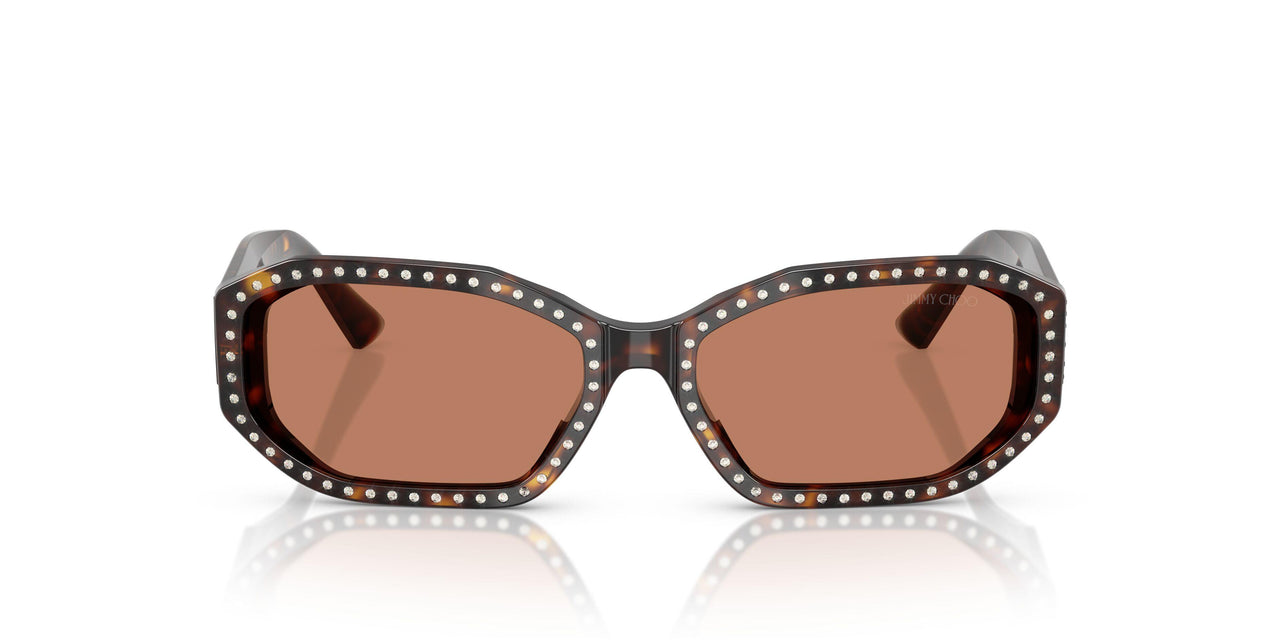 500273 - Tortoise - Brown
