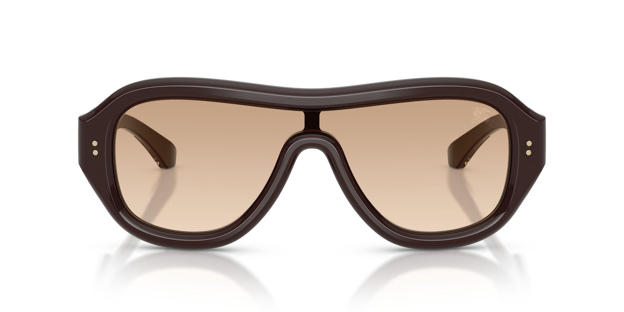 42748D - Brown - Brown Gradient