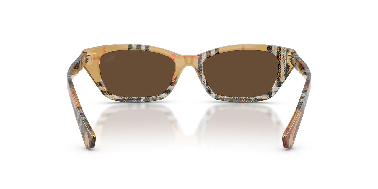 416373 - Brown - Dark Brown
