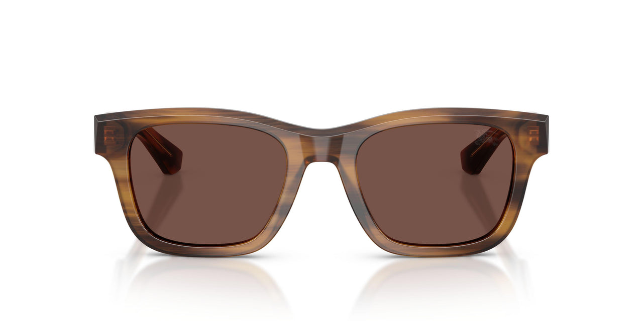 425373 - Tortoise - Black Chocolate