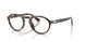 Persol Alba 3410V Eyeglasses