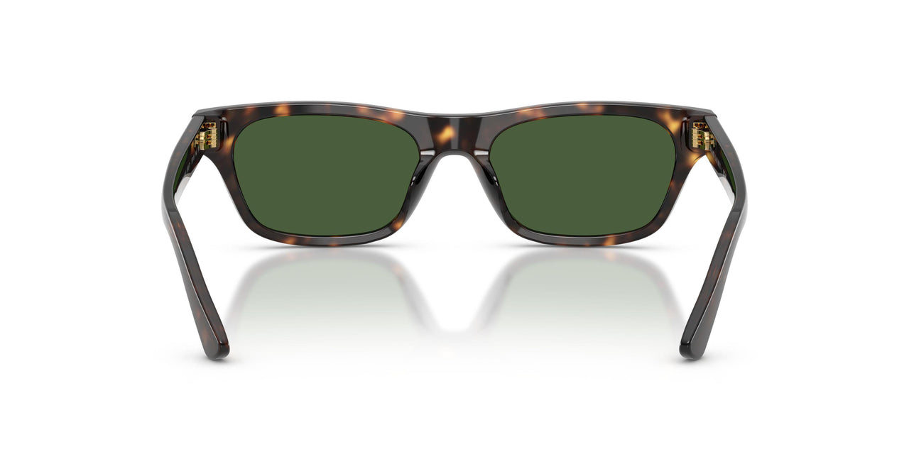 500371 - Tortoise - Dark Green