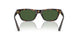 500371 - Tortoise - Dark Green