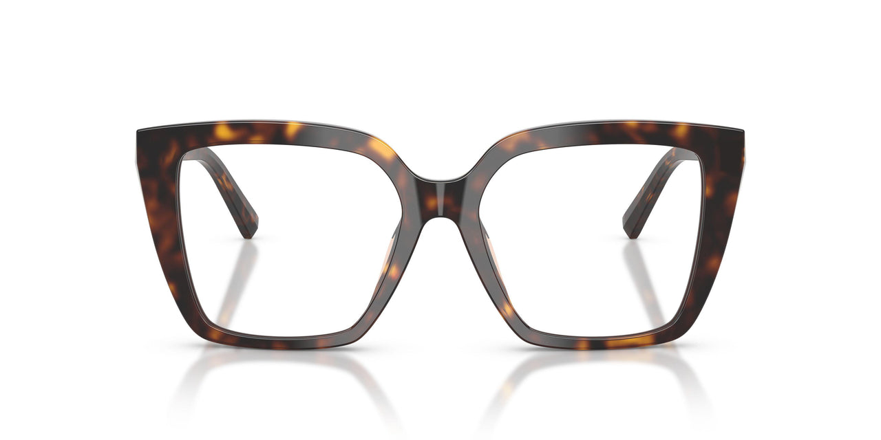 8015 - Tortoise