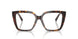8015 - Tortoise