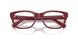 25R1O1 - Red