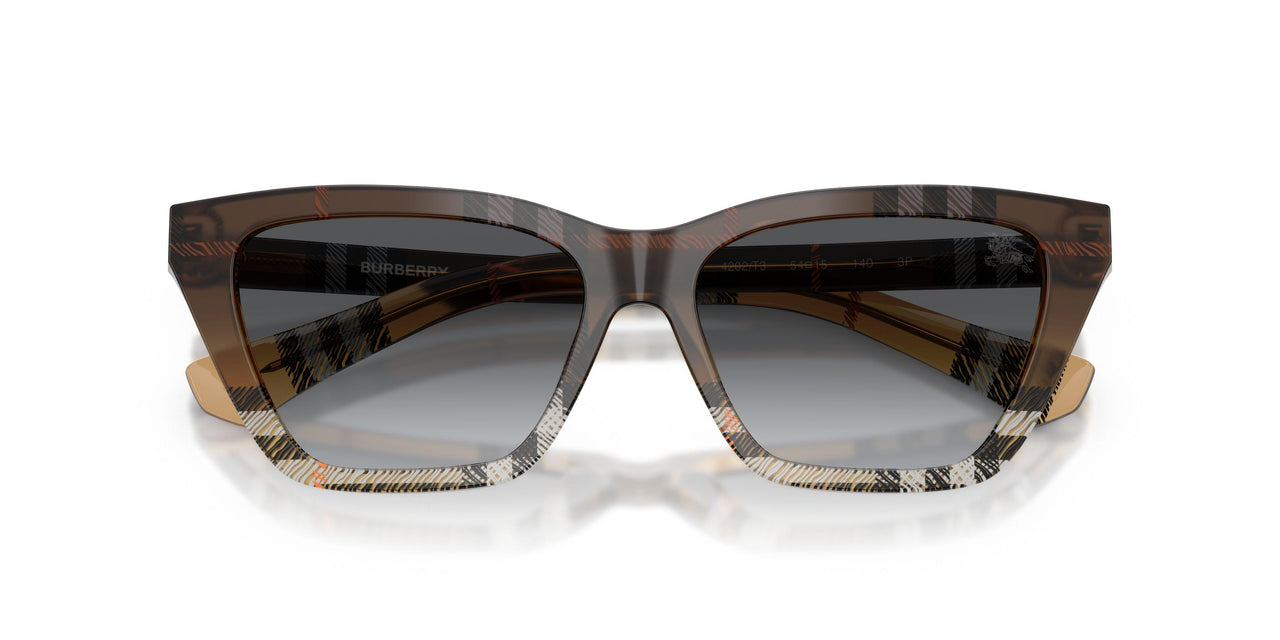 4202T3 - Brown - Gradient Grey Polar