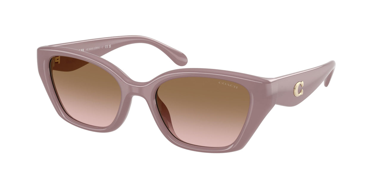 Coach Cby91 8434U Sunglasses