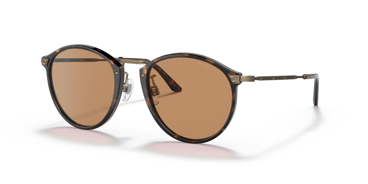 502653 - Havana - Brown