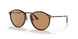 502653 - Havana - Brown