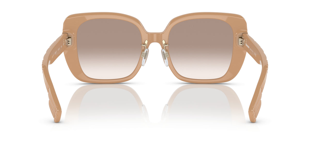 399013 - Brown - Brown Gradient