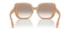 399013 - Brown - Brown Gradient