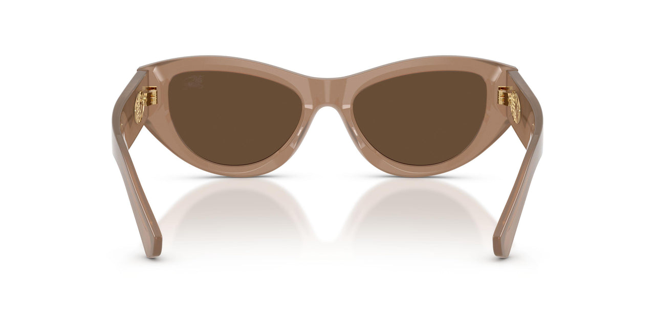 425873 - Beige - Dark Brown