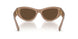 425873 - Beige - Dark Brown