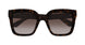 002 - Havana - Brown