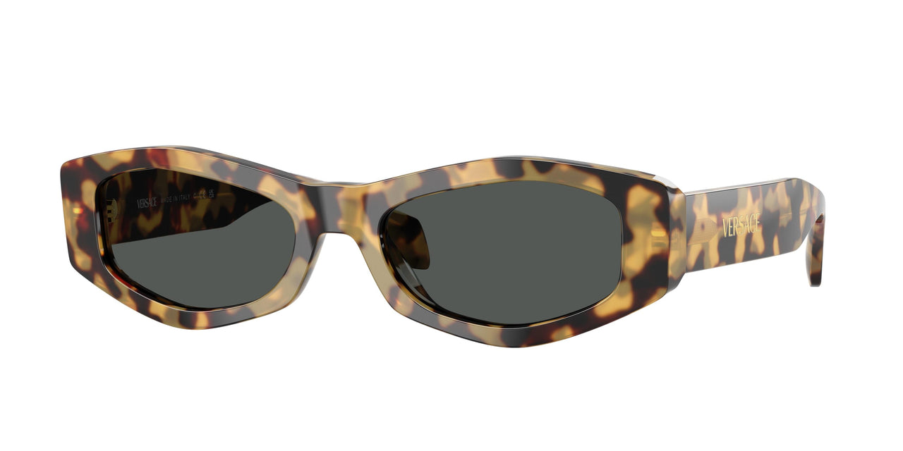 Versace 4487 Sunglasses
