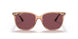 66025Q - Brown - Purple Polar