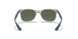 707071 - Grey - Dark Green
