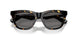410681 - Tortoise - Dark Grey Polar