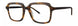 Paradigm Medina Eyeglasses